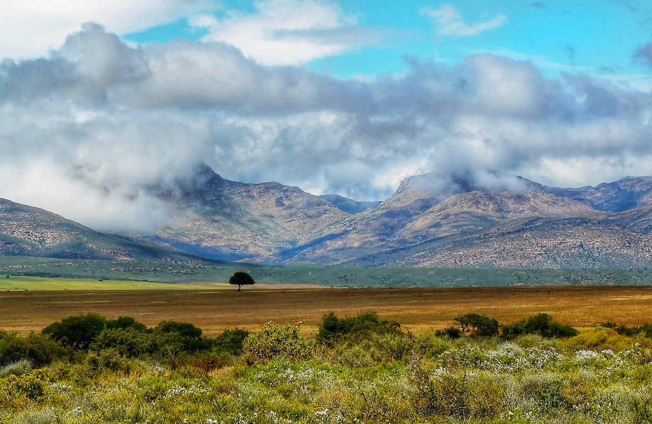 Exploring the Coastal Wonders of South Africa’s Garden Route